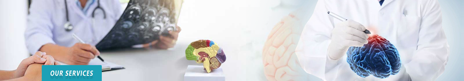 Pediatric Neurologist